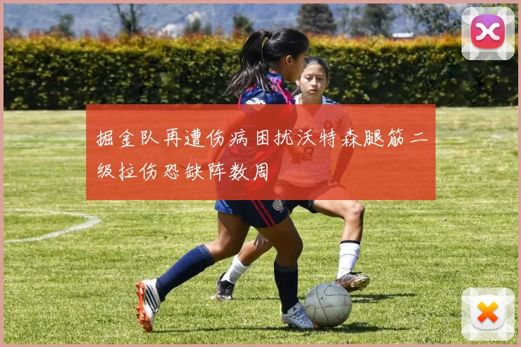 掘金队再遭伤病困扰沃特森腿筋二级拉伤恐缺阵数周